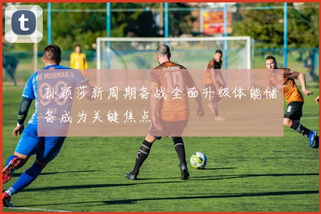 孙颖莎新周期备战全面升级体能储备成为关键焦点